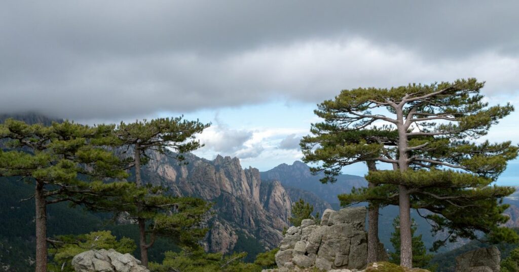 randonnée aiguilles de bavella