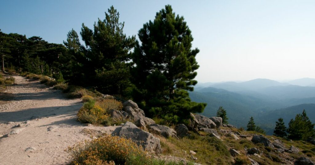 randonnée aiguilles de bavella