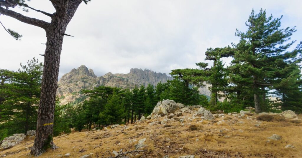 randonnée aiguilles de bavella