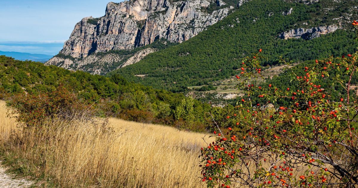 randonnée gorges du verdon